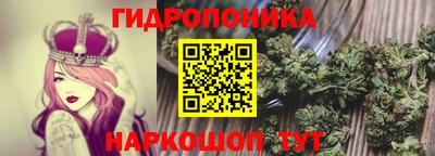 крисы Азнакаево