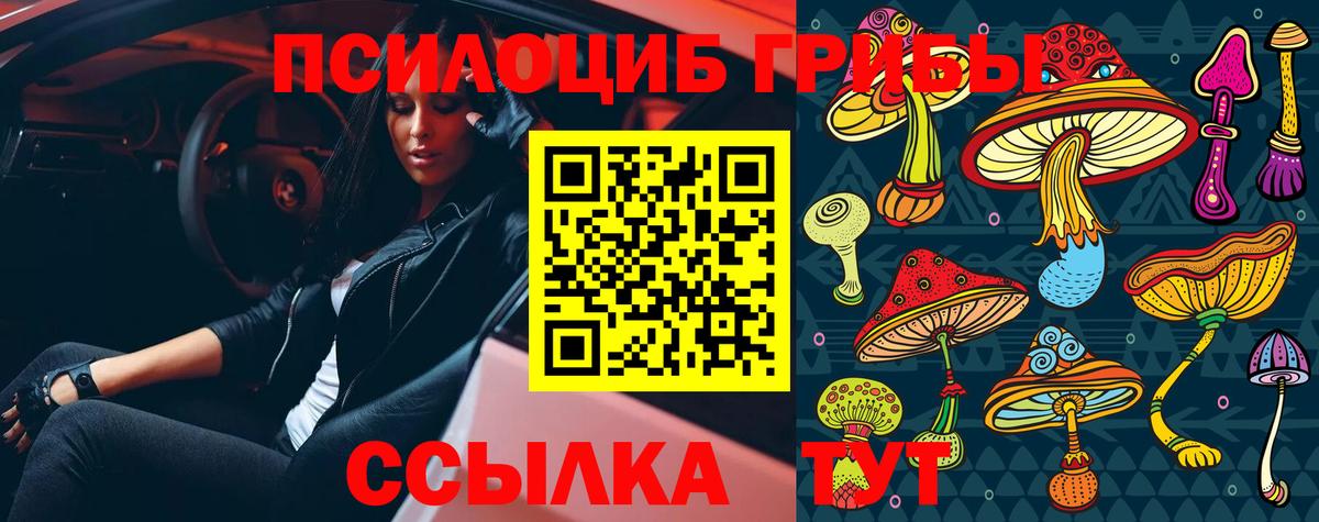 Алейск  Псилоцибиновые грибы ЛСД  Вход с VPN 